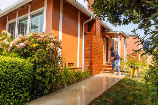 Best Roof Pressure Washing  in Westfield, IN