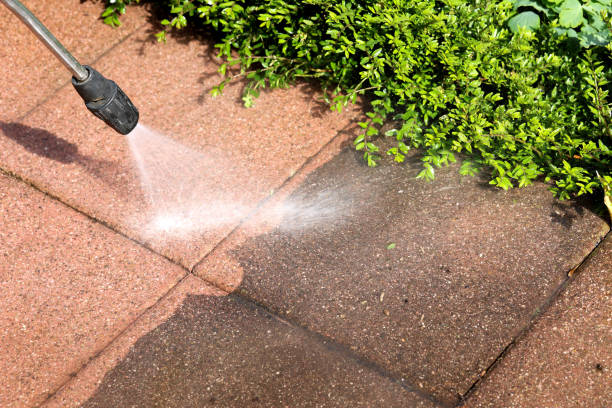 Best Best Pressure Washing Companies  in Westfield, IN